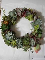 Succulent wreath 1