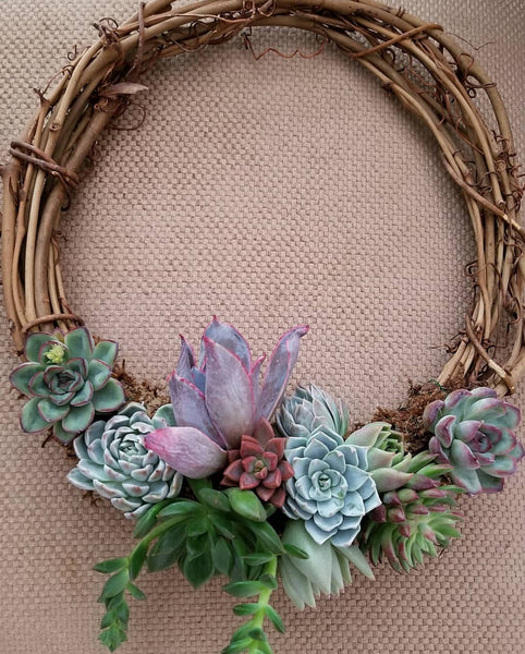 Succulent wreath 2