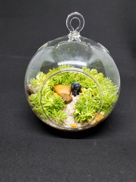 Glass terrarium 2