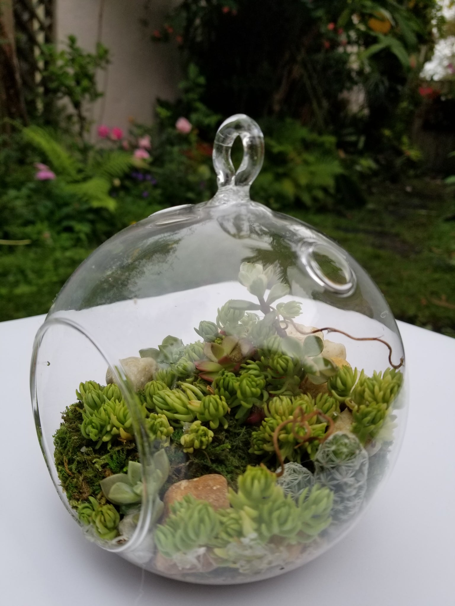 Glass terrarium 1